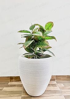Pots en fibre de verre blanc pur pour utilisation intérieure et extérieure