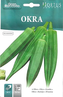 Graines de gombo (okra gumbo) de haute qualité (fabriquées en italie) de hortus. DIAYTAR COTE D'IVOIRE, boutique en ligne généraliste avec plus de 300000 références, leader en Côte d'Ivoire, propose une large sélection de produits pour répondre à tous vos besoins. Avec une équipe dédiée, nous sommes engagés à offrir des services de qualité et une expérience de shopping en ligne exceptionnelle.