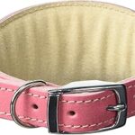 Collier whippet bpd pet products taille unique 2" x 12" à
