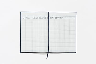 Livre de comptes exacompta guildhall 298x203 mm 16 colonnes de caisse