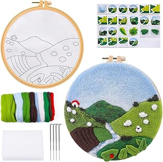 Kit de broderie pour débutants, kit de feutrage aiguilleté pour débutants, kit d'aiguilles