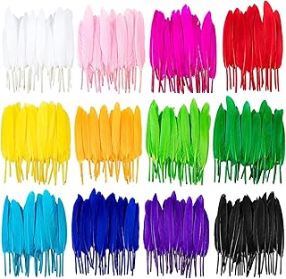 600 pièces plumes colorées, 12 couleurs plumes d'oie pour l'artisanat, boucles d'oreilles, artisanat, mariage, baby shower, chapeaux, bijoux, vêtements, accessoires, boucles d'oreilles par elekoden. DIAYTAR Côte d'Ivoire est une plateforme de commerce électronique qui permet aux clients de découvrir et d'acheter une large gamme de produits en ligne. De l'électronique à la mode, en passant par les produits alimentaires et les accessoires pour la maison, cette boutique en ligne propose tout ce dont les clients ont besoin. Elle offre également des options de livraison rapides et fiables.