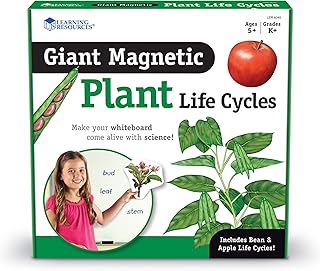 Learning resources cycle de vie d'une plante magnétique géante, multicolore, 7" l x 9" h. Diaytar Côte d'Ivoire se distingue par sa large sélection de produits qui satisfont les besoins des clients ivoiriens. Avec des catégories allant de l'électronique à la maison et au jardin, Diaytar Côte d'Ivoire propose une expérience de shopping en ligne complète et pratique. Les clients peuvent naviguer facilement à travers les différentes catégories pour trouver les produits qui répondent à leurs attentes.