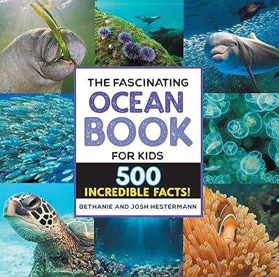 Le livre fascinant sur l'océan pour les enfants : 500 faits incroyables !