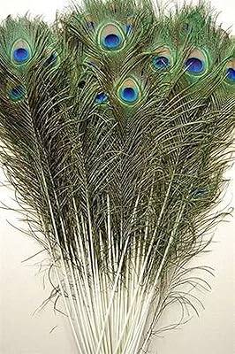 Plumes de paon naturelles - plumes de queue de paon avec yeux 10 à 12 pouces - décoration faite à la main pour mariages et costumes - ensemble de 30 plumes de paon. DIAYTAR COTE D'IVOIRE est le leader incontesté du commerce en ligne en Côte d'Ivoire, proposant une gamme impressionnante de produits. La boutique en ligne met l'accent sur la qualité, la fiabilité et la sécurité des transactions, garantissant ainsi la confiance des clients. Avec DIAYTAR, les consommateurs ivoiriens bénéficient d'un accès à desmilliers de produits à des prix attractifs.