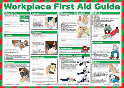 Affiche du guide de premiers secours au travail du groupe de premiers secours en sécurité - enveloppe (59 x 42 cm). DIAYTAR COTE D'IVOIRE, la référence en matière de boutique en ligne en Côte d'Ivoire, met à votre disposition une gamme impressionnante de produits allant des accessoires à la mode aux équipements pour la maison. Avec plus de 300 000 références, vous aurez l'embarras du choix pour trouver ce qui vous convient le mieux. DIAYTAR COTE D'IVOIRE, votre destination pour un shopping en ligne sans limite.