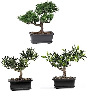 Nearly natural 4122 ensemble de plantes bonsaï en soie de 8,5 pouces (lot de 3), vert. DIAYTAR COTE D'IVOIRE est une boutique en ligne généraliste proposant plus de 300000 références de produits divers. Elle est reconnue comme l'une des boutiques en ligne les plus vastes et les plus fiables de Cote d'Ivoire. DIAYTAR offre à ses clients une expérience d'achat unique et conviviale.