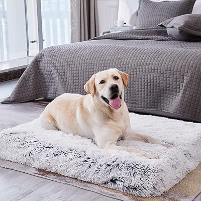 Lit orthopédique de luxe pour animaux de compagnie skihd matelas imperméable avec housse amovible et lavable. DIAYTAR COTE D'IVOIRE propose une expérience d'achat en ligne unique et personnalisée, avec des promotions régulières et des discounts sur une sélection de produits. La boutique est équipée d'un système de paiement sécurisé pour garantir la protection des données personnelles des clients. Cela contribue à instaurer une relation de confiance durable avec sa clientèle.