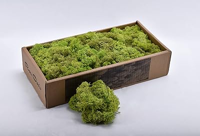 Herbe de mousse séchée naturelle utilisée pour les plantes artificielles, les fleurs suspendues, l'artisanat et les occasions spéciales. DIAYTAR COTE D'IVOIRE est une boutique en ligne généraliste qui propose plus de 300 000 références de produits, faisant d'elle l'une des plus grandes plateformes de commerce électronique en Côte d'Ivoire. Elle offre une large gamme de produits allant de l'électronique à la mode, en passant par les produits alimentaires. Les clients peuvent ainsi trouver tout ce dont ils ont besoin en un seul endroit.