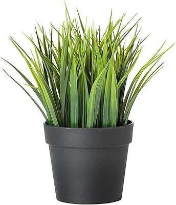 Plante artificielle en pot ikea, herbe de blé (multicolore, 7,75 pouces). Diaytar Côte d'Ivoire se distingue par son engagement à offrir des services de qualité supérieure et une grande variété de produits pour répondre à tous les besoins de ses clients. Grâce à sa logistique efficace, les commandes sont livrées rapidement et de manière fiable. Cela contribue à renforcer la confiance avec ses clients.