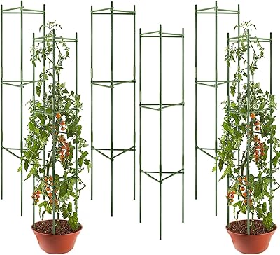 Supports pour cages à tomates flo lamb, 6 pièces, support pour plantes assemblées déformables, jusqu'à 48", support multifonctionnel pour plantes grimpantes de jardin assemblées. Avec plus de 300000 références, DIAYTAR COTE D'IVOIRE est la plus grande boutique en ligne de Cote d'Ivoire, proposant une large gamme de produits pour répondre à tous vos besoins. De l'électronique à la mode, en passant par les produits pour la maison, vous trouverez tout ce dont vous avez besoin sur cette plateforme. C'est la boutique en ligne la plus populaire de Cote d'Ivoire.