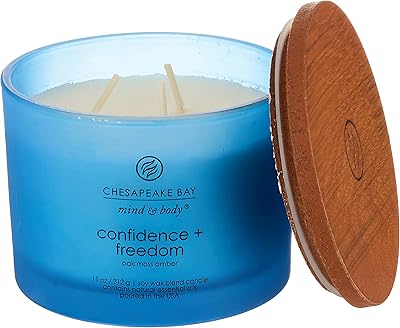 Bougie parfumée chesapeake bay candle, trust & freedom (mousse de chêne ambré), pot