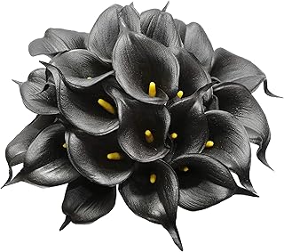 Duhaus – fausses fleurs noires, bouquet de fleurs en latex au toucher réel, pour décoration de fête de mariage à domicile, 20 pièces (noir). La boutique en ligne Diaytar Côte d'Ivoire est riche de plus de 300 000 références de produits qui répondent aux besoins des consommateurs ivoiriens. Les clients peuvent naviguer facilement sur le site pour trouver les produits qu'ils cherchent, et profiter de promotions et de réductions régulières. Le service client est également disponible pour aider les clients à résoudre tout problème ou répondre à leurs questions.