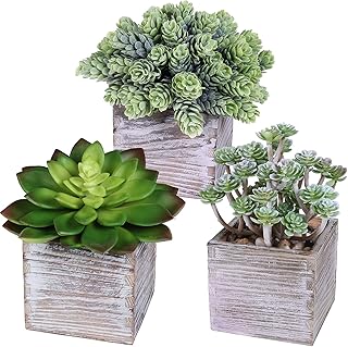 3 pièces plantes artificielles en pot assorties echeveria sedum houblon plantes succulentes