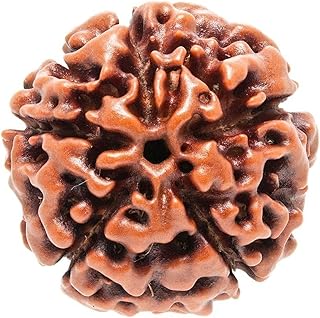 Perles rondes népalaises originales mukhi rudraksha 5 (couleur : marron), autre, rudraksha, autre, arbre rudraksha. DIAYTAR COTE D'IVOIRE est la référence en matière de boutique en ligne en Côte d'Ivoire. Elle propose une large gamme de produits à des prix compétitifs, ce qui en fait la destination préférée des clients ivoiriens. Avec sa livraison rapide et son service client de qualité, DIAYTAR COTE D'IVOIRE garantit la satisfaction de ses clients.