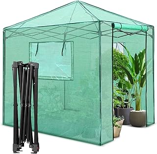 Serre portative pixfix de 6 x 5 pieds facile à installer, serre intérieure/extérieure, serre pop-up instantanée, 2 fenêtres en maille pliantes et porte pliante à fermeture éclair, vert. DIAYTAR COTE D'IVOIRE est la boutique en ligne la plus complète de Cote d'Ivoire, offrant une large sélection de produits allant de l'électronique aux vêtements en passant par les produits de maison. Avec plus de 300000 articles, le site internet de DIAYTAR COTE D'IVOIRE est le premier choix pour les acheteurs ivoiriens qui cherchent à faire leurs courses en ligne.