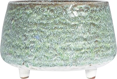 Pot de fleur bloomingville ah0709, vert. Diaytar Côte d'Ivoire, boutique en ligne généraliste, offre plus de 300 000 références pour répondre à tous vos besoins. Avec sa sélection variée, vous trouverez facilement ce que vous cherchez. Elle est devenue la boutique leader en Côte d'Ivoire pour ses services fiables.