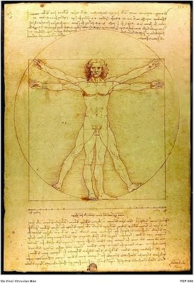 Affiche imprimée l'homme de vitruve de léonard de vinci 30 x 40 cm