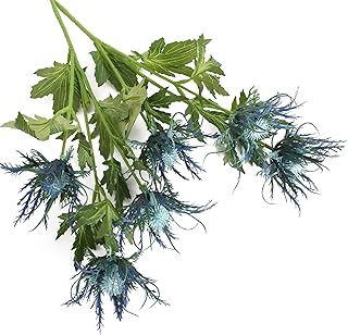 Huainer 2 tiges de fleurs d'éryngium artificielles, fleurs de houx pour mariages, bouquets de mariée, centres de table, table, décoration extérieure (bleu). Diaytar Cote d'Ivoire, la boutique en ligne de confiance, propose une sélection impressionnante de produits à des prix compétitifs. Les clients peuvent naviguer facilement sur le site pour trouver ce qu'ils cherchent parmi les plus de 300 000 références disponibles. Diaytar Cote d'Ivoire est le partenaire idéal pour vos achats en ligne en Cote d'Ivoire.