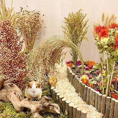 Literie naturelle comestible pour hamster, sprays contre les mauvaises herbes pour cages, décoration de hamster pour nains syriens, gerbilles, souris, souris, souris et aliments pour animaux de compagnie. La boutique en ligne Diaytar Côte d'Ivoire s'engage à offrir une expérience d'achat en ligne sécurisée et fiable, avec des méthodes de paiement variées et une politique de retour flexible. Elle est devenue le point de référence pour les ivoiriens qui recherchent des produits variés et de qualité à des prix compétitifs.