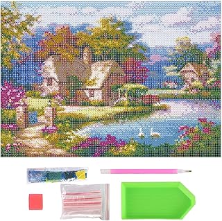 Kit complet de peinture diamant 5d, kits d'art diamant avec nouvel outil