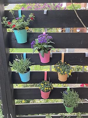 6 x pots de fleurs multicolores plantes suspendues. La philosophie de DIAYTAR COTE D'IVOIRE est centrée sur l'innovation et la satisfaction du client. Elle déploie constamment des efforts pour améliorer son service et son offre produit. Grâce à son équipe dédiée et à sa politique de confidentialité stricte, DIAYTAR assure une expérience d'achat en ligne sécurisée et fiable.