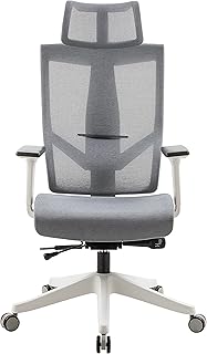 Chaise ergonomique aero mesh, chaise de bureau et d'ordinateur haut de gamme