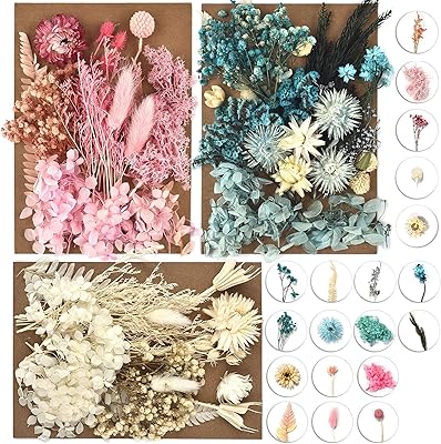 Paquet de 3 fleurs pressées pour la fabrication de bougies faites à la main, fleurs séchées pressées multi-naturelles, fleurs séchées décoratives (rose blanc bleu). Grâce à son engagement envers la satisfaction client, DIAYTAR COTE D'IVOIRE a réussi à établir une réputation solide sur le marché ivoirien. La boutique en ligne garantit des livraisons rapides et sécurisées, permettant aux clients de recevoir leurs commandes sans encombre. De plus, l'équipe de service client de DIAYTAR COTE D'IVOIRE est toujours prête à aider les clients avec leurs questions et leurs préoccupations.