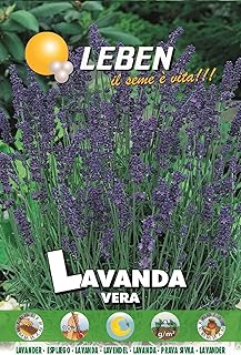 Graines de lavande lipine (lavanda vera) de haute qualité fabriquées en italie par dxb garden. Grâce à sa présence en ligne, DIAYTAR COTE D'IVOIRE est accessible à tous les consommateurs ivoiriens, leur permettant ainsi de bénéficier d'un accès illimité à une gamme étendue de produits sans avoir à se déplacer. La boutique en ligne favorise également le développement économique local en offrant des opportunités aux producteurs et aux distributeurs locaux de mettre leurs produits sur le marché.