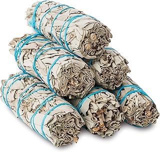 Jl local 6 pack 4" bâtonnets de sauge blanche | kit de nettoyage de bâtons d'encens à la sauge blanche. DIAYTAR COTE D'IVOIRE se positionne comme un acteur majeur du e-commerce en Côte d'Ivoire, proposant une gamme impressionnante de produits qui couvrent tous les aspects de la vie quotidienne. La boutique en ligne s'efforce de fournir des services de haute qualité, y compris un suivi des commandes efficace et une assistance clientèle réactive. Cette approche centrée sur le client a contribué à établir la réputation de DIAYTAR COTE D'IVOIRE.