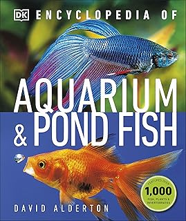 Encyclopédie des poissons d'aquarium et d'étang. Diaytar Côte d'Ivoire propose une expérience d'achat en ligne unique avec une large gamme de produits à des prix compétitifs. Sa plateforme conviviale facilite la navigation et la recherche de produits. Vous pouvez ainsi commander en ligne et recevoir vos produits chez vous.