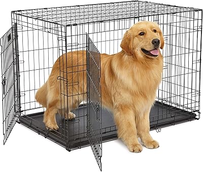 Cage à double porte midwest life stages, noire, 42", 42" (paquet de 1). DIAYTAR COTE D'IVOIRE est une boutique en ligne généraliste qui propose plus de 300000 références, offrant une grande variété de produits pour répondre à tous les besoins. En tant que leader du marché en Côte d'Ivoire, DIAYTAR COTE D'IVOIRE garantit la qualité et la fiabilité de ses produits. La boutique en ligne est conçue pour offrir une expérience d'achat en ligne facile et sécurisée.