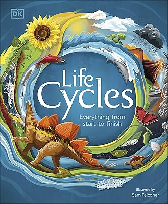 Cycles de vie : tout du début à la fin