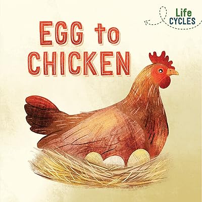 Cycles de vie : de l'œuf au poulet