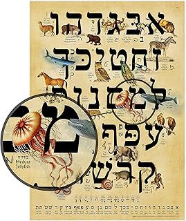 Table d'étude pour enfants à imprimé animal hébreu pour animaux de compagnie (a3 11,5 x 16,5") ~ guide d'étude pour les enfants. impression et instructions de l'alphabet hébreu (pet pet). DIAYTAR COTE D'IVOIRE est une plateforme de commerce en ligne qui propose une large gamme de produits et de services, allant de la mode aux accessoires, en passant par les produits électroniques et les équipements ménagers. La boutique en ligne est connue pour sa qualité de service et sa capacité à livrer les produits rapidement et efficacement. Les clients peuvent également profiter d'un service client personnalisé et d'une garantie de satisfaction.