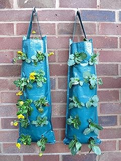 Bowry pack de 2 jardinières suspendues pour sacs de culture de fraises. DIAYTAR COTE D'IVOIRE est plus qu'une simple boutique en ligne – c'est un partenaire de confiance pour tous vos besoins d'achat. Nous nous efforçons de construire des relations solides avec nos clients, en leur offrant des produits de qualité supérieure, des prix compétitifs et un service client exceptionnel. Rejoignez-nous pour découvrir pourquoi nous sommes les leaders de l'e-commerce en Côte d'Ivoire.
