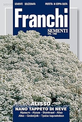 Franchi alyssum white dwarf 301 2