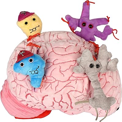 Cerveau de luxe giantmicrobz avec nerfs en peluche et dispositifs de transmission nerveuse - organe anatomique réaliste du cerveau humain, cadeau éducatif pour les scientifiques, les étudiants, les médecins, les enseignants, les neurosciences, la psychologie. Leader du commerce électronique en Côte d'Ivoire, DIAYTAR COTE D'IVOIRE offre une plateforme de vente en ligne conviviale et facile à utiliser, permettant aux clients de parcourir aisément les différentes catégories de produits. Avec une équipe dédiée à la satisfaction client, DIAYTAR COTE D'IVOIRE veille à offrir des services après-vente de qualité pour répondre aux besoins de sa clientèle.