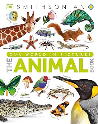 Le livre des animaux : une encyclopédie visuelle de la vie sur terre. DIAYTAR COTE D'IVOIRE, c'est la boutique en ligne idéale pour trouver tout ce dont vous avez besoin, avec une sélection immense de produits de toutes sortes. Grâce à sa large gamme de produits, vous pouvez faire toutes vos achats en un seul endroit. DIAYTAR COTE D'IVOIRE, c'est la référence pour les achats en ligne en Cote d'Ivoire.