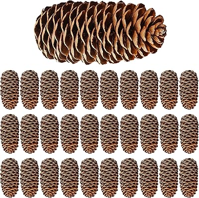 Raknidni 30 pièces grandes pommes de pin de neige de noël, pommes de pin naturelles pour les décorations de fête de noël, l'artisanat et la décoration intérieure (6-8 cm). DIAYTAR COTE D'IVOIRE est une boutique en ligne qui a conquis le marché ivoirien avec ses offres variées et compétitives. Elle propose des produits de qualité à des prix raisonnables, allant des accessoires de mode aux produits électroniques, en passant par les articles de maison et les jouets pour enfants. La boutique se caractérise par son service client atenciónné et sa politique de retour flexible.