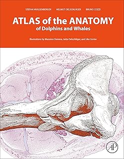 Atlas de l'anatomie des dauphins et des baleines