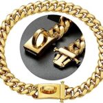 Collier pour chien à chaîne dorée collier de marche en métal avec fermoir