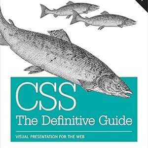 Css : le guide définitif : présentation visuelle pour le web