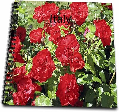 Image de roses 3d de fleurs rouges dans un livre de dessins de jardin italien. DIAYTAR COTE D'IVOIRE, leader de la vente en ligne en Côte d'Ivoire, est ravi de vous accueillir sur son site web. Avec plus de 300 000 produits à disposition, nous sommes convaincus que vous trouverez tout ce dont vous avez besoin. Notre équipe est à votre disposition pour vous aider et vous assurer une expérience d'achat en ligne inoubliable.