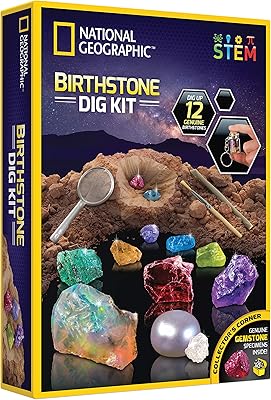 Kit de fouille de pierre de naissance - kit scientifique stem avec 12
