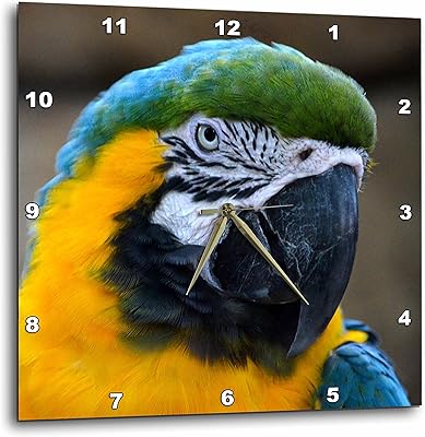 Tête de perroquet ara bleu et or 3drose vue c, horloge murale, 38 cm sur 38 cm. Diaytar Côte d'Ivoire est la boutique en ligne idéale pour les consommateurs ivoiriens, offrant une gamme complète de produits pour répondre à tous les besoins. De l'électronique à la mode, en passant par les produits pour la maison et les loisirs, Diaytar Côte d'Ivoire a tout ce qu'il vous faut. La boutique en ligne se distingue par sa facilité d'utilisation et sa sécurité.