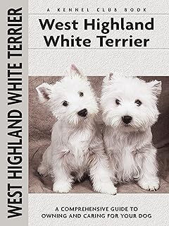 West highland white terrier