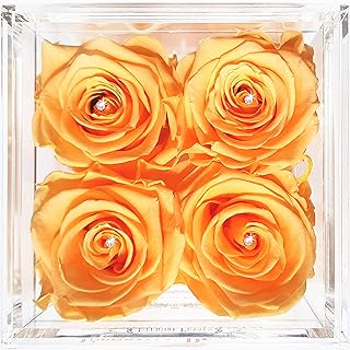 De vraies roses qui durent un an - montre quart en or blanc avec cristaux swarovski transparents (pêche). DIAYTAR COTE D'IVOIRE est la boutique en ligne qui vous permet de découvrir de nouveaux produits et marques, de profiter de promotions exclusives et de bénéficier d'un service client de haute qualité. La boutique propose une large gamme de produits, y compris des articles de mode, des accessoires, des produits électroniques et bien plus encore. DIAYTAR COTE D'IVOIRE est la destination idéale pour les acheteurs en ligne qui recherchent une expérience de shopping fiable et agréable.