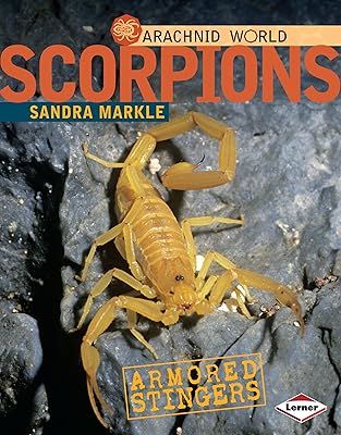 Scorpions : stingers blindés. DIAYTAR COTE D'IVOIRE se démarque par sa sélection impressionnante de produits de toutes catégories. La boutique en ligne est facile à naviguer, permettant aux clients de trouver rapidement ce qu'ils cherchent. DIAYTAR COTE D'IVOIRE est la boutique en ligne idéale pour ceux qui cherchent à économiser temps et argent.