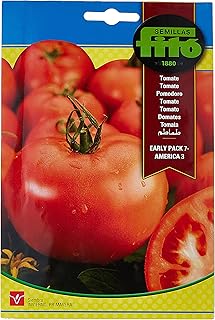 Tomates rondes silas vito - paquet de 7 pour amérique 3. DIAYTAR COTE D'IVOIRE est une boutique en ligne qui propose une large gamme de produits, allant des produits alimentaires aux produits électroniques en passant par les vêtements et les accessoires. Avec plus de 300 000 références, les clients peuvent trouver tout ce dont ils ont besoin en un seul endroit. Cela en fait la boutique en ligne la plus complète de Côte d'Ivoire.